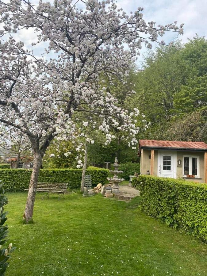 Chez Monsieur Bed & Breakfast Florenville Exterior photo